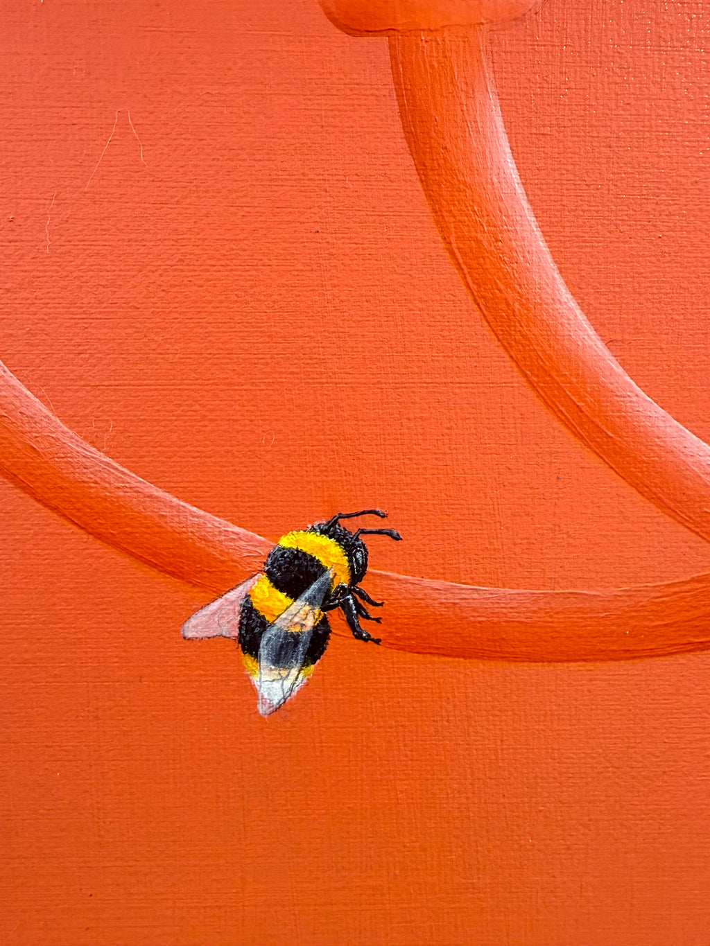 'Sunny Eyes' - Prints