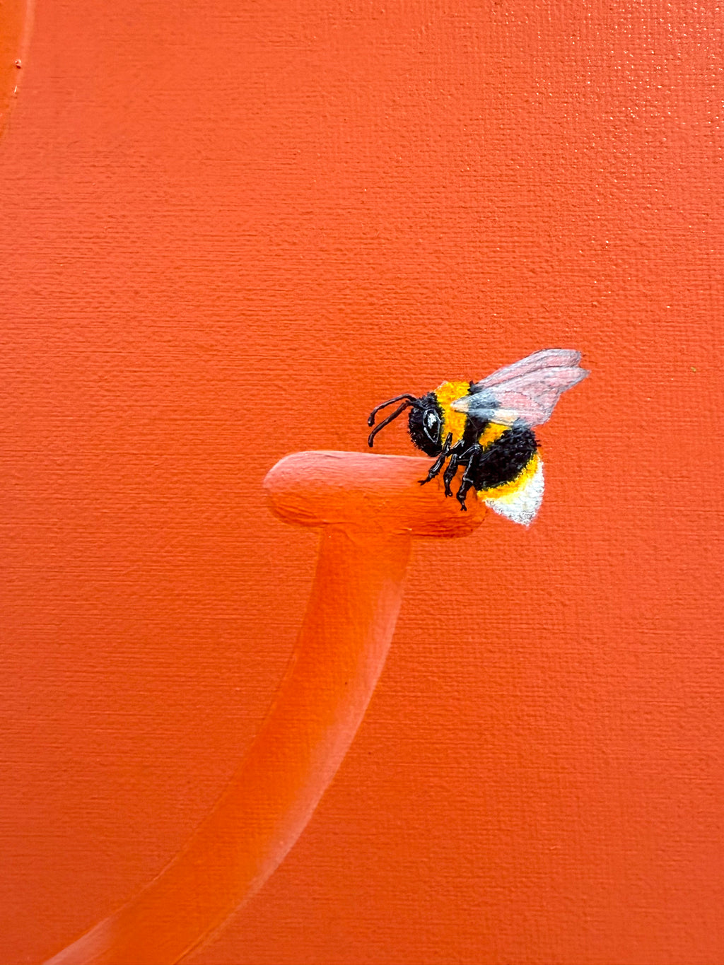 'Sunny Eyes' - Prints