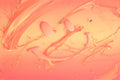 'Splashing Out' No.2 - Prints